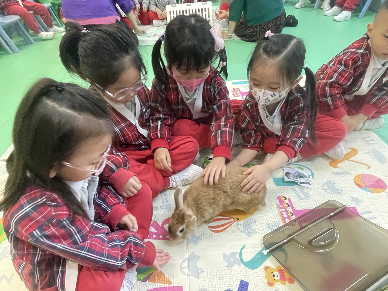 2024-2025~K2 香港救兔之家講座