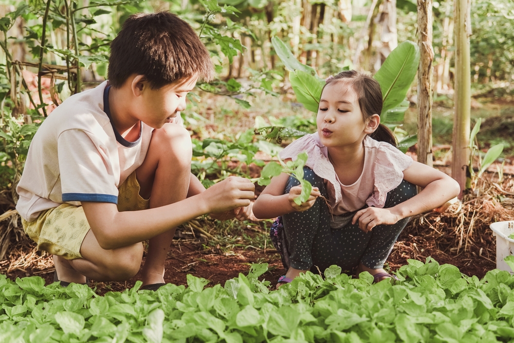 202601_動不動的學習