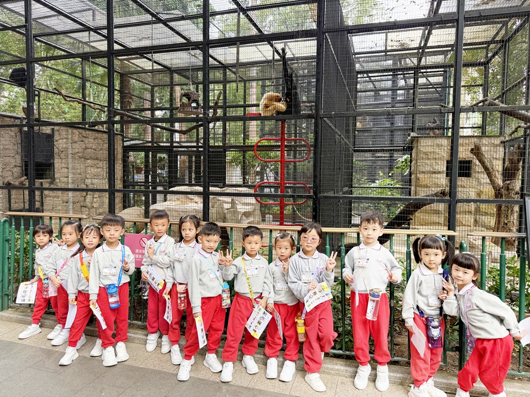 2025-2026~K3 參觀香港動植物公園